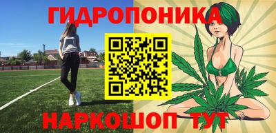 шишки Заводоуковск