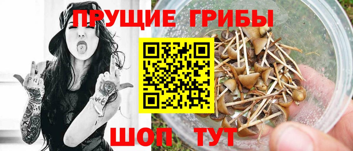 Дивногорск  Псилоцибиновые грибы прущие грибы  Вход с VPN  Псилоцибиновые грибы Magic Shrooms 